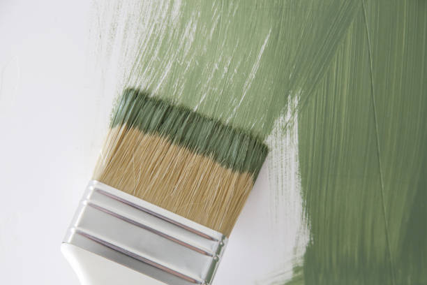 Eco-Friendly and Low-VOC Painting in Seminole Manor, FL